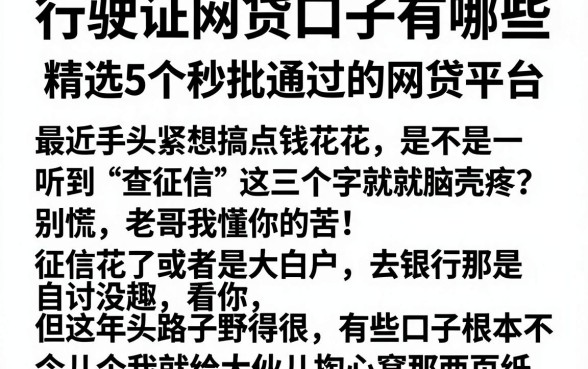 行驶证网贷口子有哪些，精选5个秒批通过的网贷平台