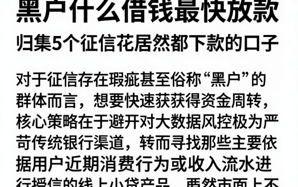 黑户什么借钱最快放款，归集5个征信花居然都下款的口子