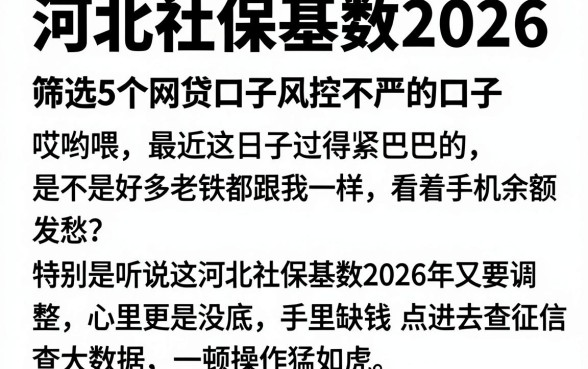 河北社保基数2026,筛选5个网贷口子风控不严的口子