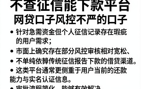 不查征信能下款平台,归纳五个网贷口子风控不严的口子