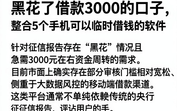 黑花了借款3000的口子，整合5个手机可以临时借钱的软件