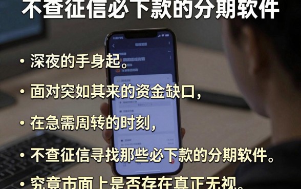 不查征信必下款的分期软件，归纳五个手机和身份证快速借钱软件