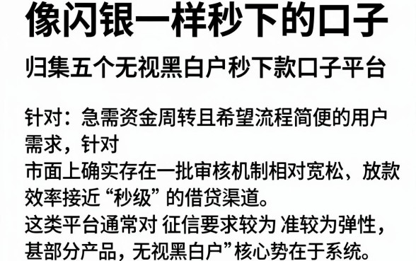 像闪银一样秒下的口子,归集五个无视黑白户秒下款口子平台
