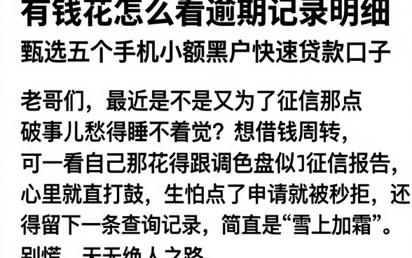 有钱花怎么看逾期记录明细,甄选五个手机小额黑户快速贷款口子