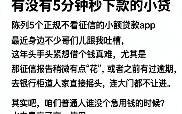 有没有5分钟秒下款的小贷,陈列5个正规不看征信的小额贷款app