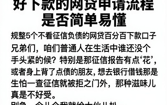 好下款的网贷申请流程是否简单易懂,规整5个不看征信负债的网贷百分百下款口子