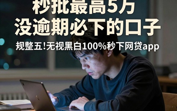 秒批最高5万没逾期必下的口子,规整五个无视黑白100%秒下网贷app