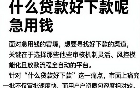 什么贷款好下款呢 急用钱，归纳5个极速审核的网贷平台