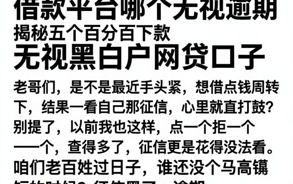 借款平台哪个无视逾期,揭秘五个百分百下款无视黑白户网贷口子