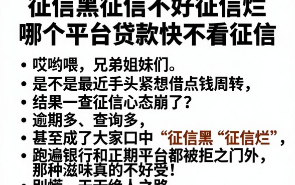 征信黑征信不好征信烂哪个平台贷款快不看征信,细致阐述五个不看负债查询的软件