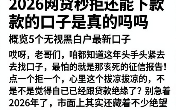 2026网贷秒拒还能下款的口子是真的吗吗,概览5个无视黑白户最新口子