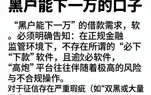 黑户能下一万的口子,详尽说明五个高炮双黑逾期必下款软件
