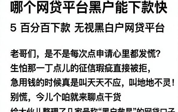哪个网贷平台黑户能下款快,整合5个百分百下款无视黑白户网贷平台