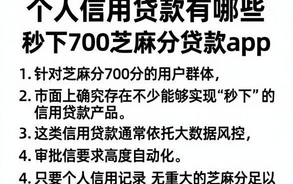 个人信用贷款有哪些,陈列5个秒下700芝麻分贷款app