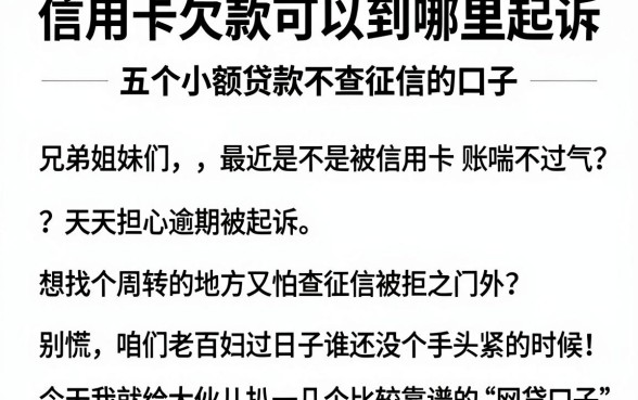 信用卡欠款可以到哪里起诉,整合五个小额贷款不查征信的口子