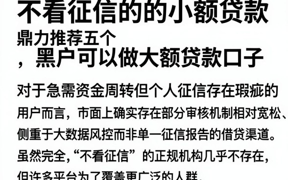不看征信的的小额贷款,鼎力推荐五个黑户可以做大额贷款口子