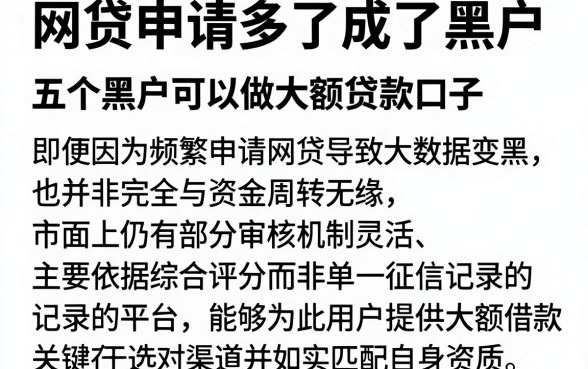 网贷申请多了成了黑户,概览五个黑户可以做大额贷款口子