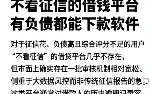 不看征信的借钱平台,整合5个综合评分不足有负债都能下款软件