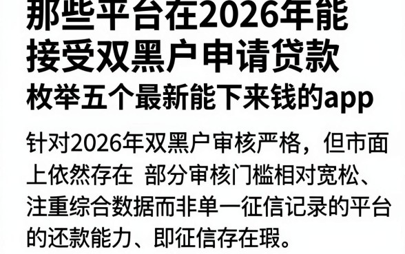 那些平台在2026年能接受双黑户申请贷款,枚举五个最新能下来钱的app