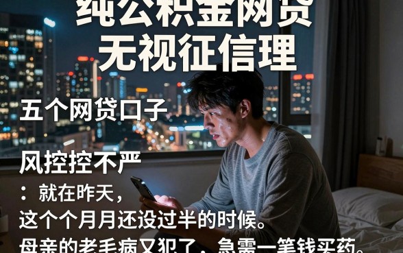 纯公积金网贷无视征信理,详细阐述五个网贷口子风控不严的平台