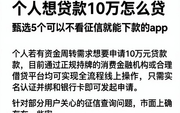 个人想贷款10万怎么贷,甄选5个可以不看征信就能下款的app