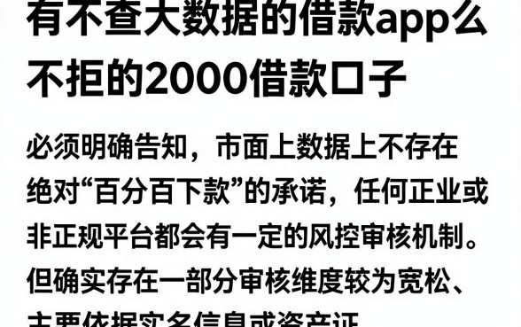 有不查大数据的借款app么,详尽说明5个黑户百分百不拒的2000借款口子
