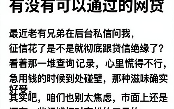 有没有可以通过的网贷,归纳五个征信花居然都下款的软件