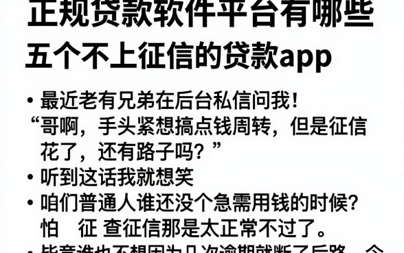 正规贷款软件平台有哪些，归纳五个不上征信的贷款app