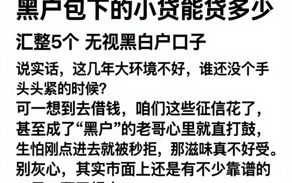 黑户包下的小贷能贷多少,汇整5个无视黑白户口子