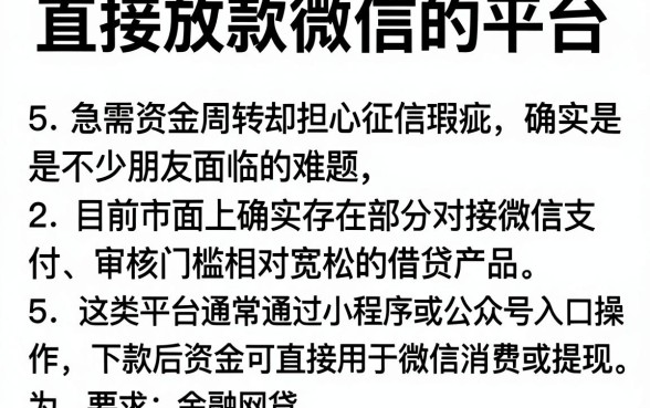 直接放款微信的平台，详尽说明5个对征信宽松的网贷平台