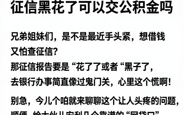征信黑花了可以交公积金吗，整理五个大学生可以使用的软件