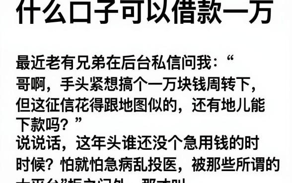 什么口子可以借款一万，概览5个手机支付宝小额贷款的平台