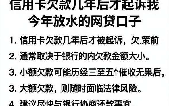 信用卡欠款几年后才起诉我，理出五个今年放水的网贷口子