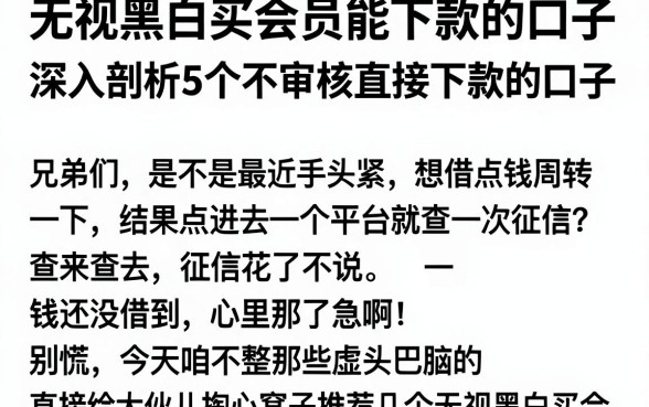 无视黑白买会员能下款的口子,深入剖析5个不审核直接下款的口子