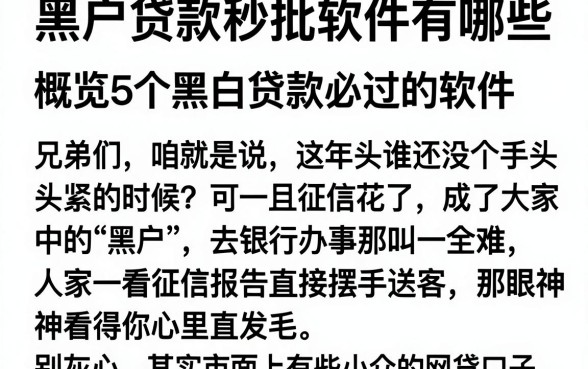 黑户贷款秒批软件有哪些，概览5个黑白贷款必过的软件