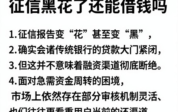 征信黑花了还能借钱吗，详尽说明5个征信花居然都下款了的口子