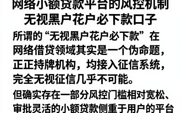 网络小额贷款平台的风控机制,理出5个无视黑户花户必下款口子