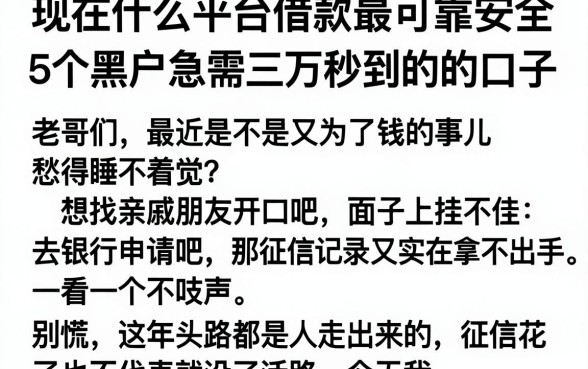 现在什么平台借款最可靠安全,细致阐述5个黑户急需三万秒到的的口子