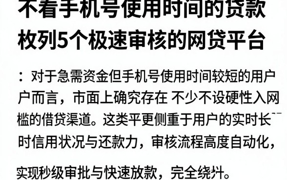 不看手机号使用时间的贷款,枚举5个极速审核的网贷平台
