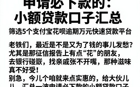 申请必下款的小额贷款口子汇总，筛选5个支付宝花呗逾期万元快速贷款平台