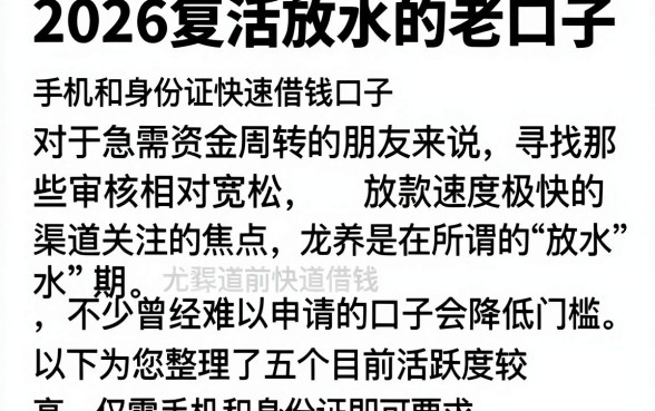 2026复活放水的老口子，枚举五个手机和身份证快速借钱口子