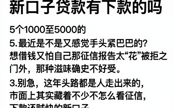 新口子贷款有下款的吗，细致阐述5个1000至5000的小额贷款app