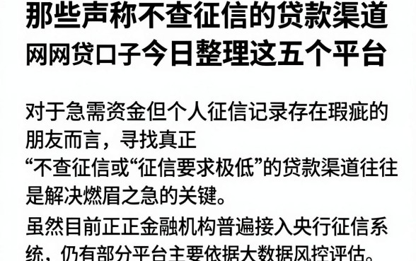 那些声称不查征信的贷款渠道，概括五个最新网贷口子今日整理这五个平台
