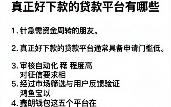 真正好下款的贷款平台有哪些,详细阐述五个简单容易贷款口子