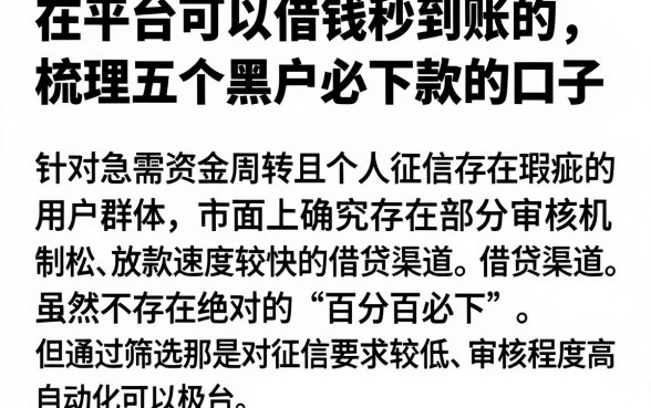 在平台可以借钱秒到账的,梳理五个黑户必下款的口子