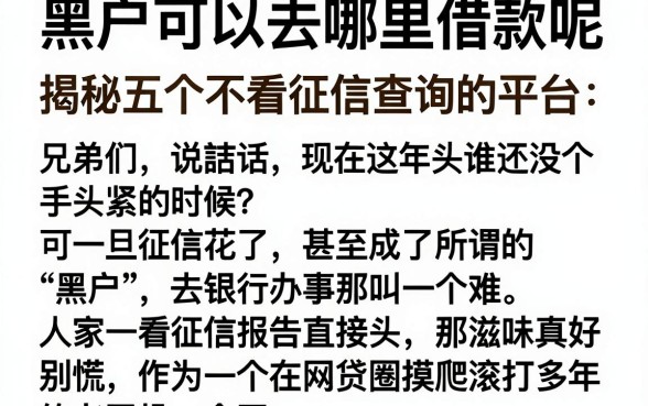 黑户可以去哪里借款呢，揭秘五个不看征信查询的平台