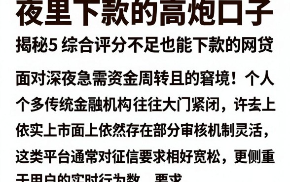 夜里下款的高炮口子,揭秘5个综合评分不足也能下款的网贷