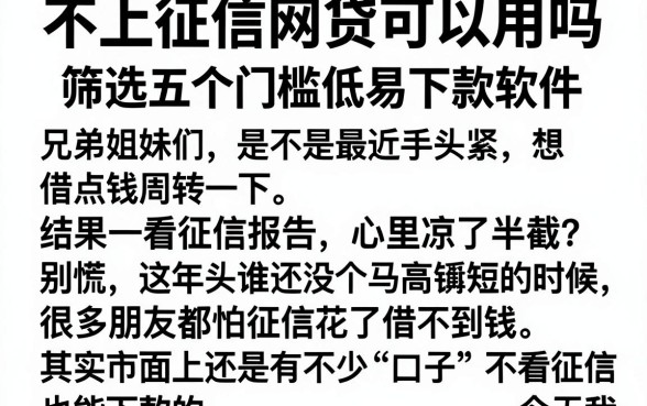 不上征信网贷可以用吗，筛选五个门槛低易下款软件