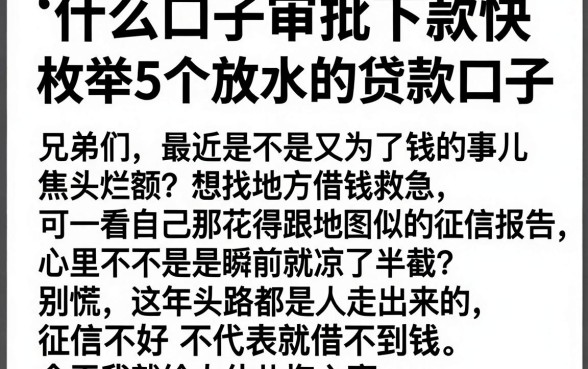 什么口子审批下款快,枚举5个放水的贷款口子