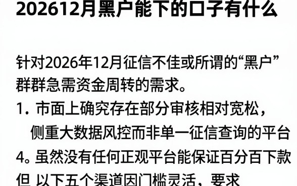 202612月黑户能下的口子有什么,概括5个最新能下来钱的平台